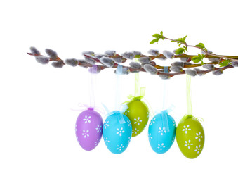 pussy-willow twigs with Easter eggs isolated on white