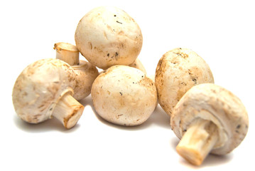fresh champignons on white