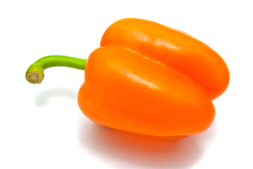Single orange pepper