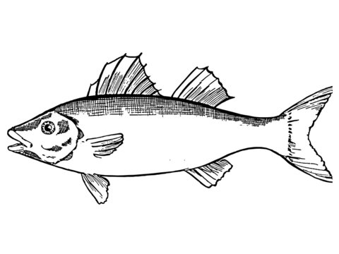 Dessin Poisson Images – Browse 993 Stock Photos, Vectors, and Video