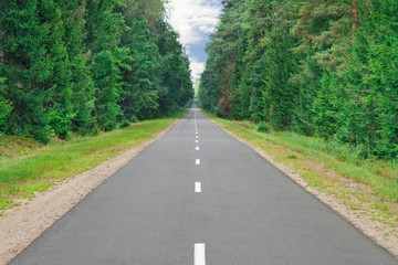 Road in forest