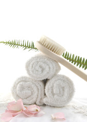 Natural wooden brush on roller towel with green fern on towel
