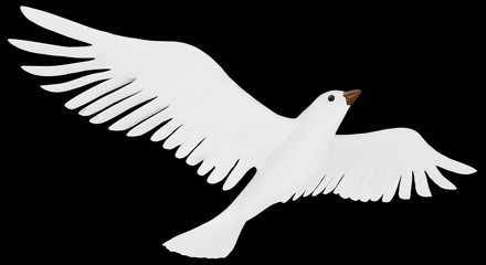 A free flying white dove isolated on black background.
