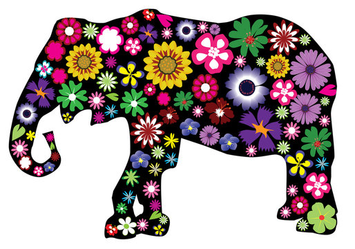 vector floral elephant