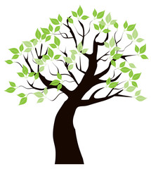 vector tree with green leaves
