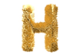 Letter H from fur fox alphabet