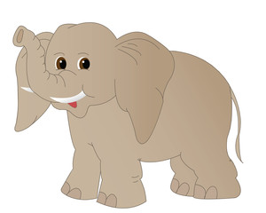Elefant