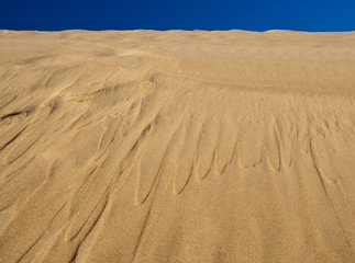 Sand and sky. Slowinski National Park