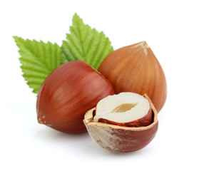 Hazelnuts with leaves