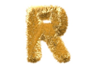Letter R from fur fox alphabet