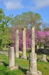 Gymnase d'Olympie