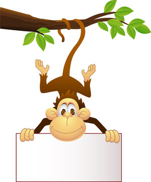 Monkey with blank sign