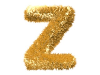 Letter T from fur fox alphabet