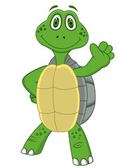 Turtle cartoon