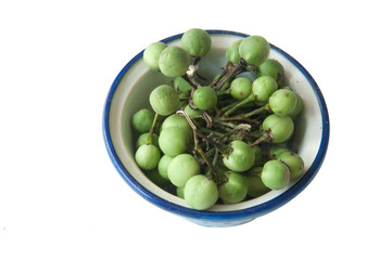Tropical green pea eggplant in bowl