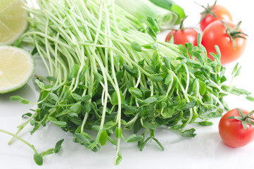 Pea Shoots