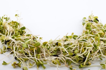 Fresh alfalfa sprouts isolated on white background
