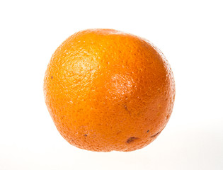 orange isolated on a white background