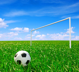 soccer ball