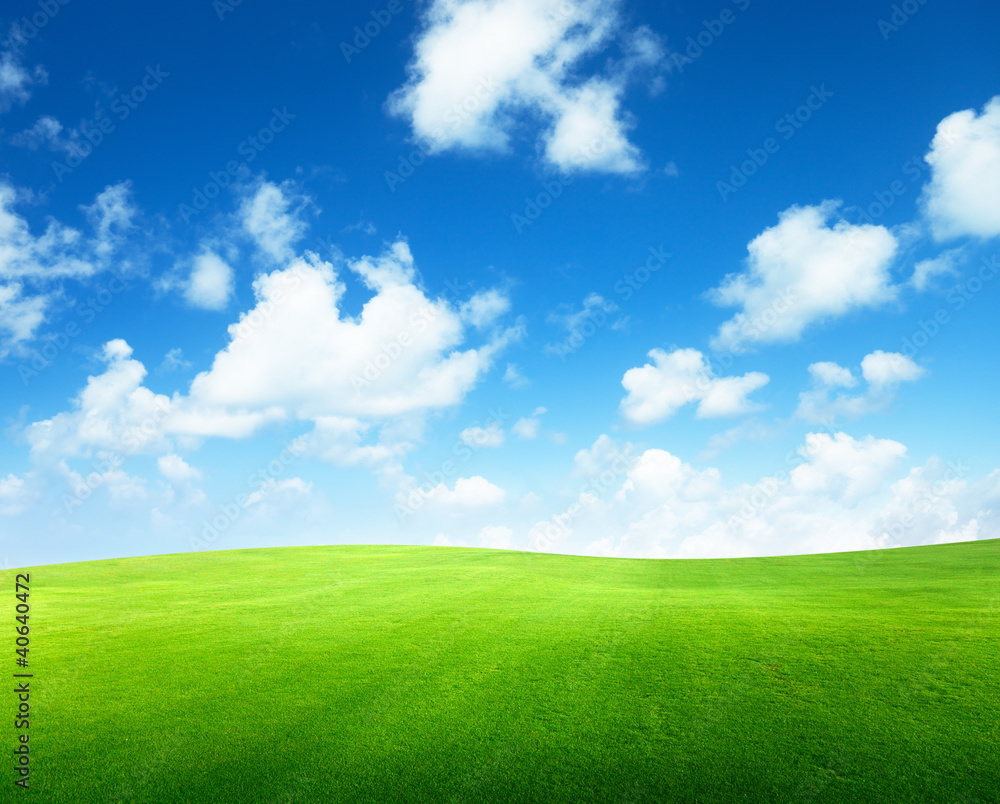 Poster field of grass and perfect sky