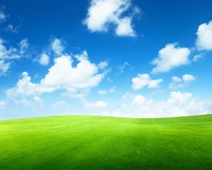 Foto op Plexiglas field of grass and perfect sky © Iakov Kalinin