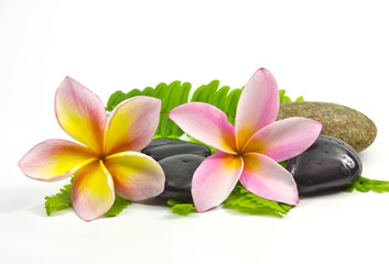 Spa stones and Frangipani flower