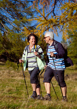 Senioren beim walking in der Natur - autumn hiking 10