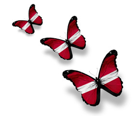 Three Latvian flag butterflies, isolated on white