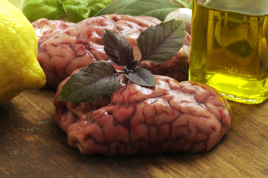 Cervello brain seso 大脑