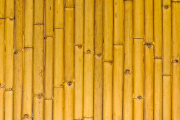Bamboo wall background