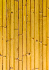 Bamboo wall background