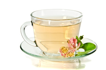 Glass cup of tea on the white background