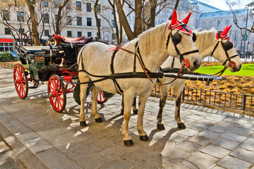 Naklejka na ściany i meble Przewóz koni Fiaker w Wiedniu, Austria