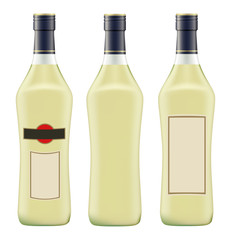 bottle of vermouth martini