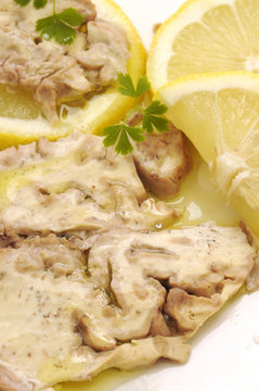Cervello brain seso 大脑