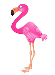 Naklejka premium Flamingo cartoon