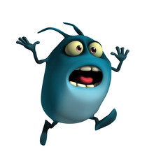 insect