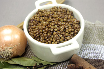 lentilles
