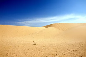 Foto auf Alu-Dibond Sanddünen in der Sahara © Fyle