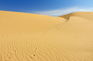 Sand dunes in Sahara