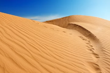 Selbstklebende Fototapeten Sanddünen in der Sahara © Fyle