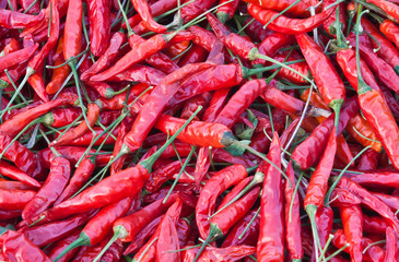 red chili