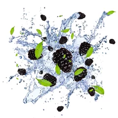 Printed kitchen splashbacks Splashing water Fresh blackberries in water splash, isolated on white background