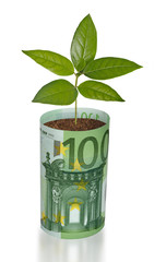 Fototapeta na wymiar Drzewko rośnie z rachunku euro