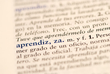 Spanish word for Apprentice  - aprendiz