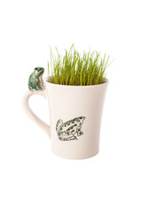 Frog, mug and grass