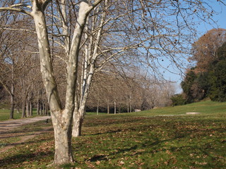 Obraz premium GREEN AREA IN ROME N°15