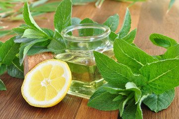 Mint oil