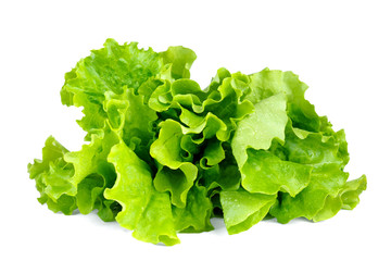 Lettuce leaves isolated on white background