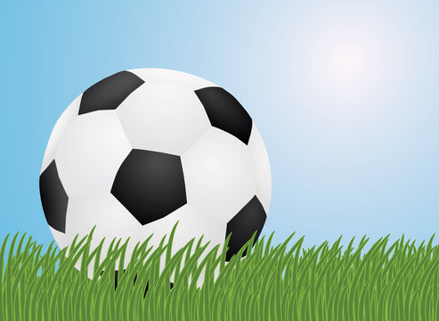 ball in a grass vector illustration